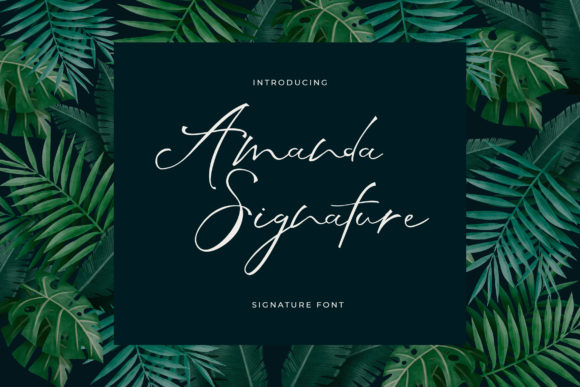 Amanda Signature Font for Business Branding
