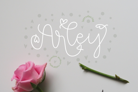 Arley Font: A Delicate Typeface for Romantic Branding