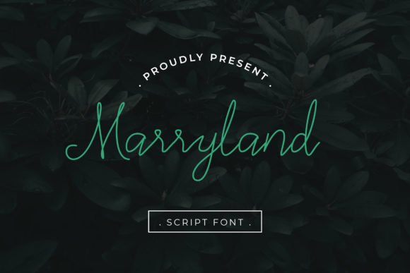 Marryland Font: A Stylish Typeface for Modern Brands
