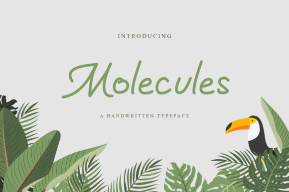 Molecules Script Font for Handmade Creators