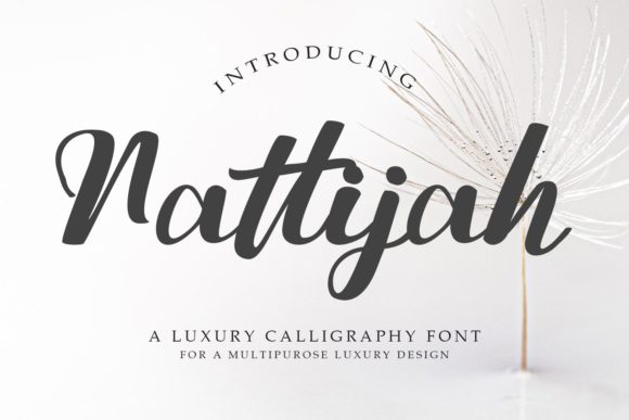 Nattijah Font Review for Web Designers