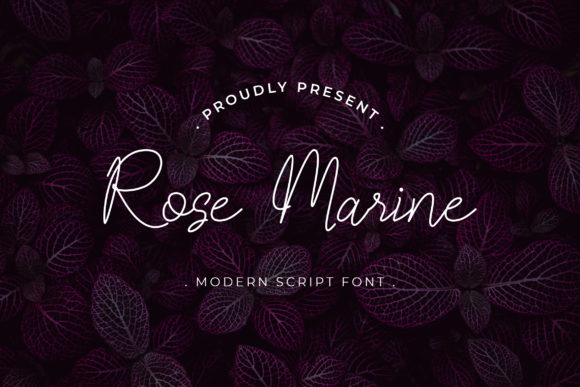 Rose Marine Font: Elevating Web Typography