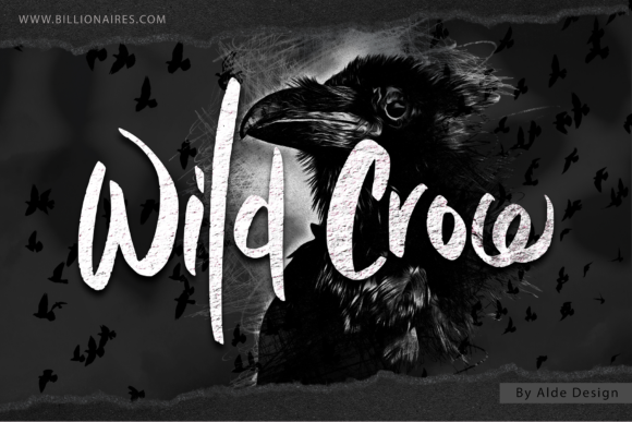 Wild Crow: A Handwritten Typeface for Digital Design